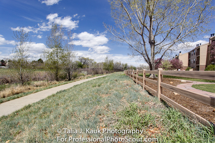 Hutchinson_Park_April_2014_19