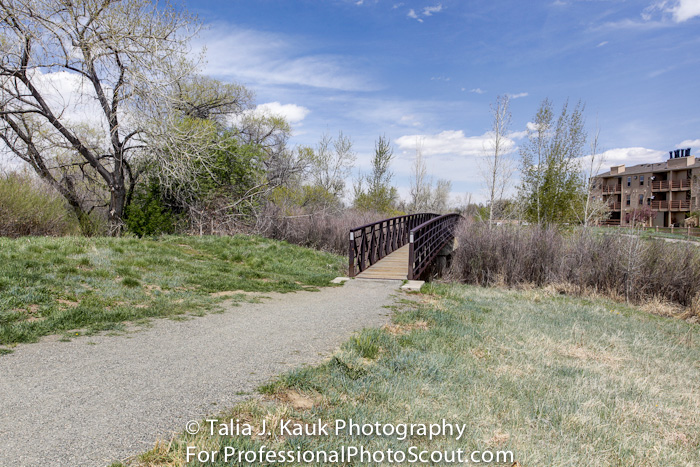 Hutchinson_Park_April_2014_20