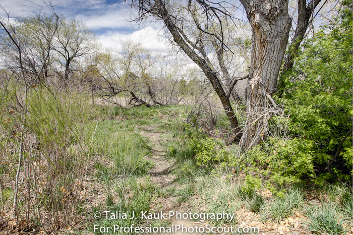 Hutchinson_Park_April_2014_21