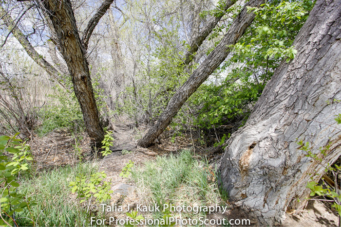 Hutchinson_Park_April_2014_22