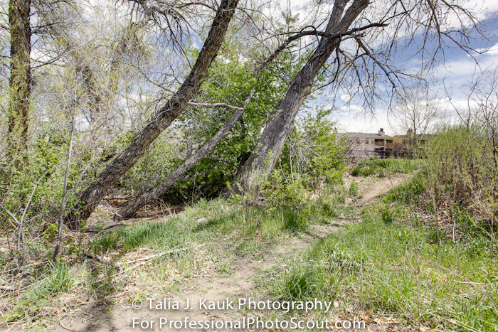 Hutchinson_Park_April_2014_24