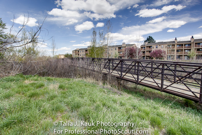 Hutchinson_Park_April_2014_25