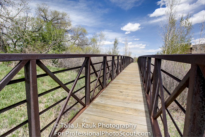 Hutchinson_Park_April_2014_26