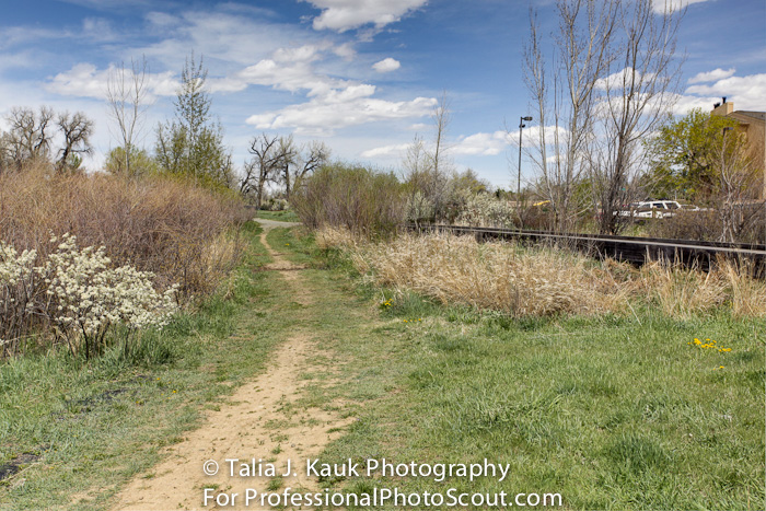 Hutchinson_Park_April_2014_28