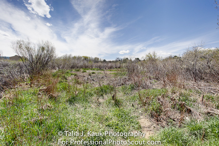 Hutchinson_Park_April_2014_4