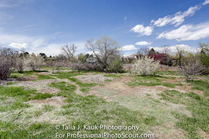 Hutchinson_Park_April_2014_6