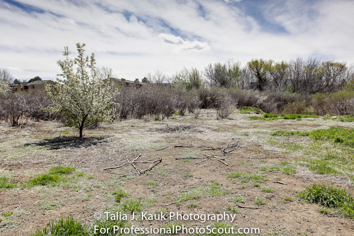 Hutchinson_Park_April_2014_7