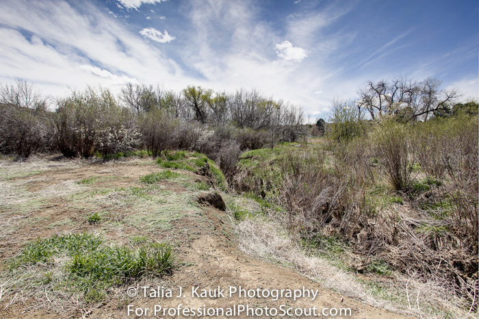 Hutchinson_Park_April_2014_8